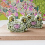 CREATIVE SUSHI ROLL – Frog